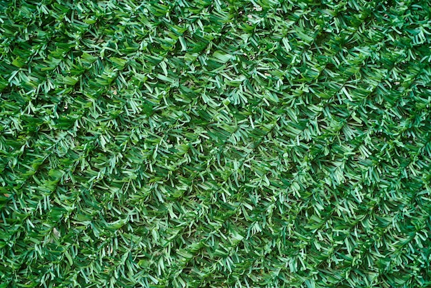 緑の芝生のテクスチャ