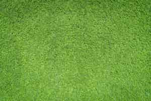 Free photo green grass textures