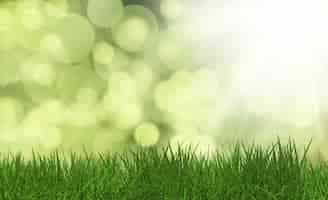 Free photo green grass