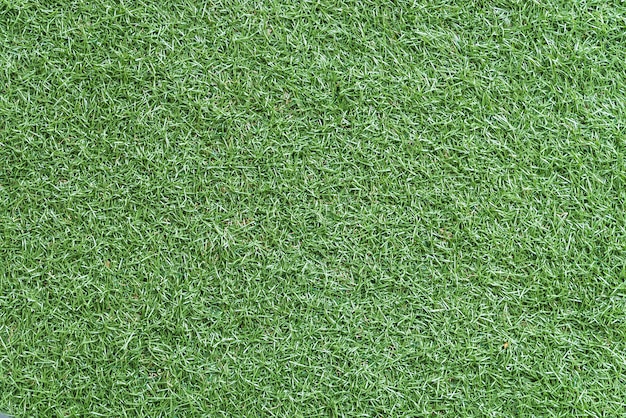 Free photo green grass