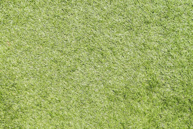 Free Photo green grass