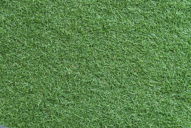 Free Photo green grass