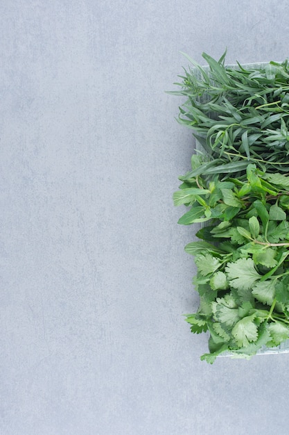 Green herbs assortment on a grey stone background. 