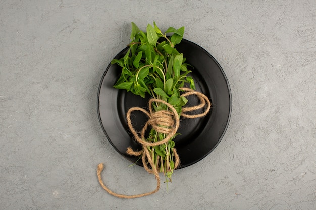 Green herbs inside black plate on a grey