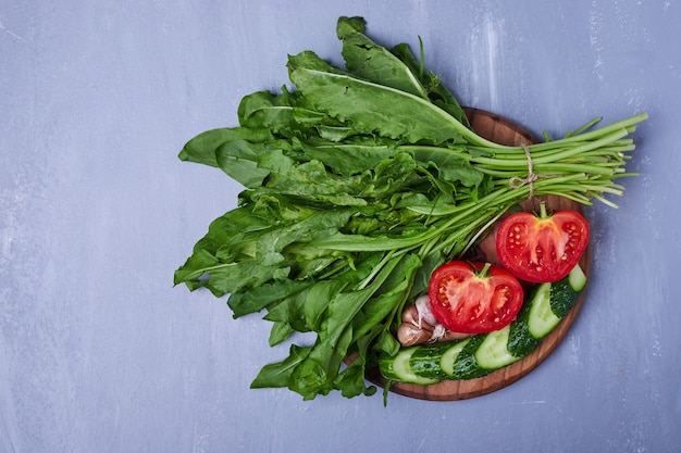 Foto gratuita erbe ed insalata verdi sull'azzurro