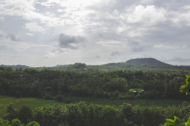 Green landscape with hill in the background