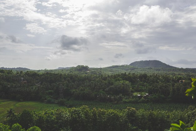 Green landscape with hill in the background