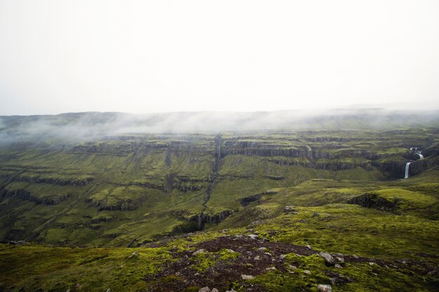 Green landscape