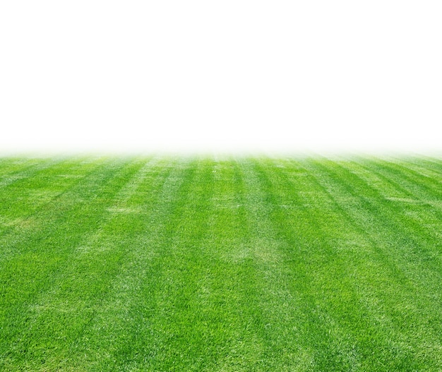 緑の芝生のテクスチャ 無料の写真