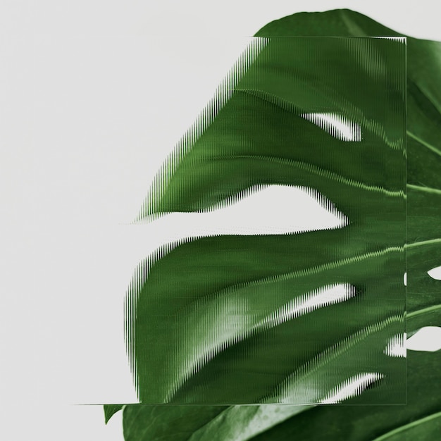 Green leaf background with patterned glass texture