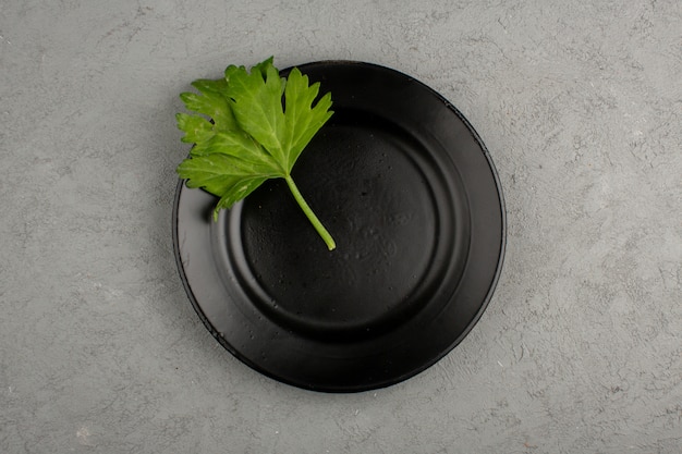 Green leaf inside black plate on a light floor