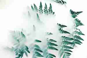 Бесплатное фото Зеленые листья растений покрыты белым дымом