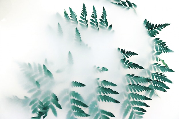 흰 연기로 덮여 녹색 잎 식물