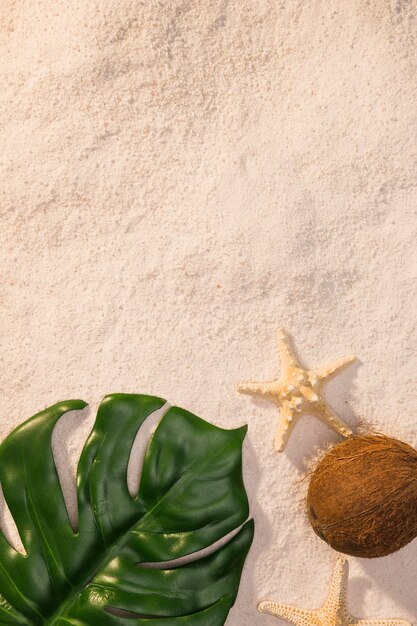 Green leaf with starfish on beach