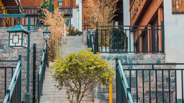 Green leafed plants on stairs