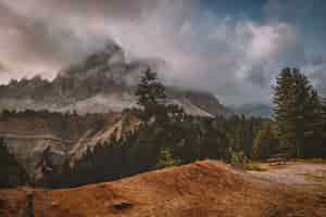 Foto gratuita alberi con foglie verdi con mountain view