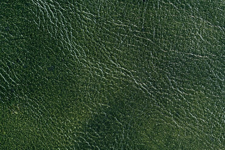 Free Photo green leather background