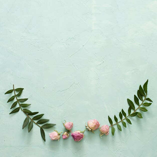 Green leaves and beautiful rose bud on textured green background