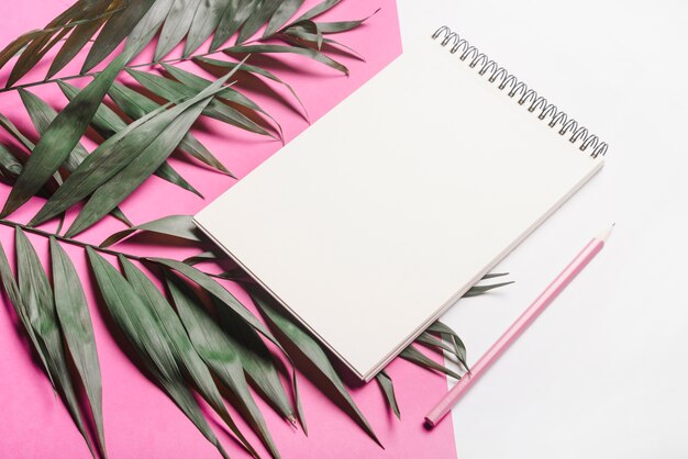 Green leaves; blank spiral notepad and pink pencil on dual background