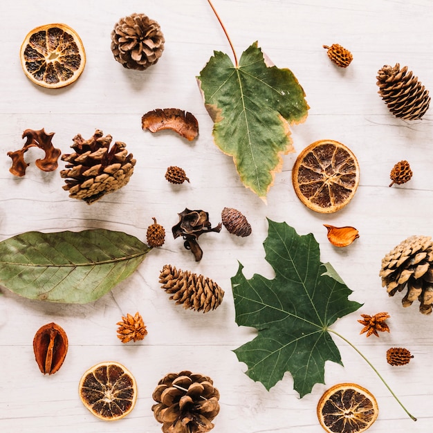 Green leaves among cones and oranges