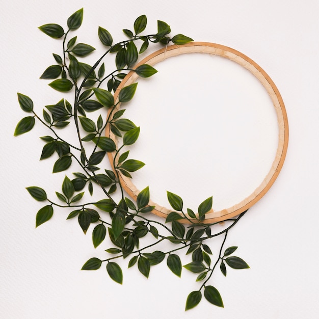 Green leaves decorated on wooden circle frame against white backdrop