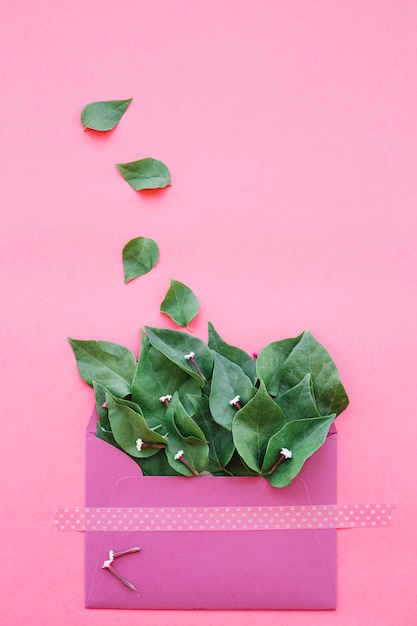Green leaves in envelope