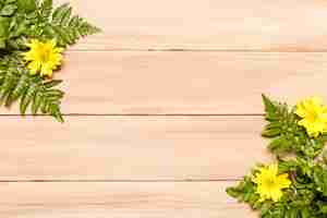 Free photo green leaves of fern and yellow flowers on wooden surface