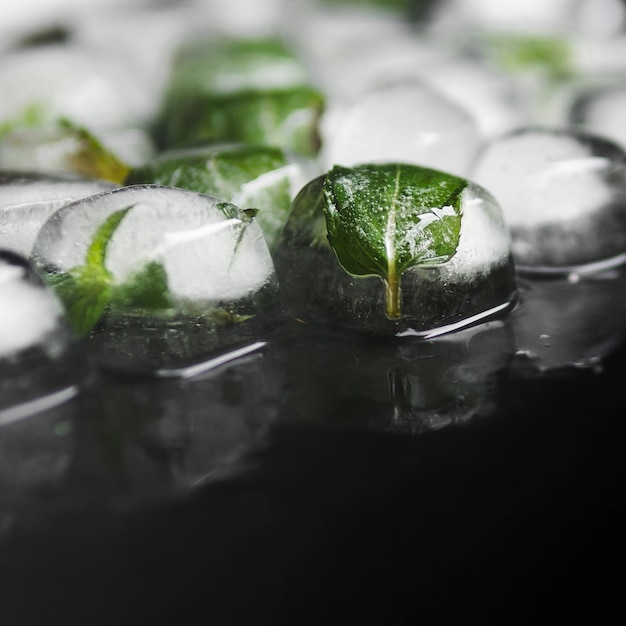 Green leaves in ice cubes