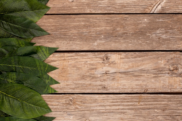 Free photo green leaves on the old wooden background