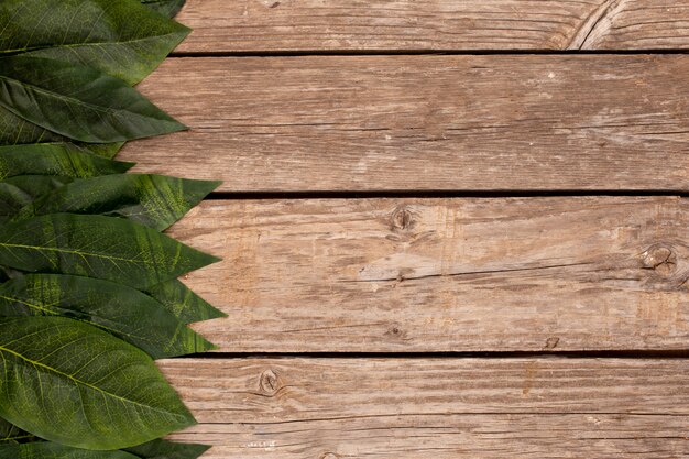 Green leaves on the old wooden background