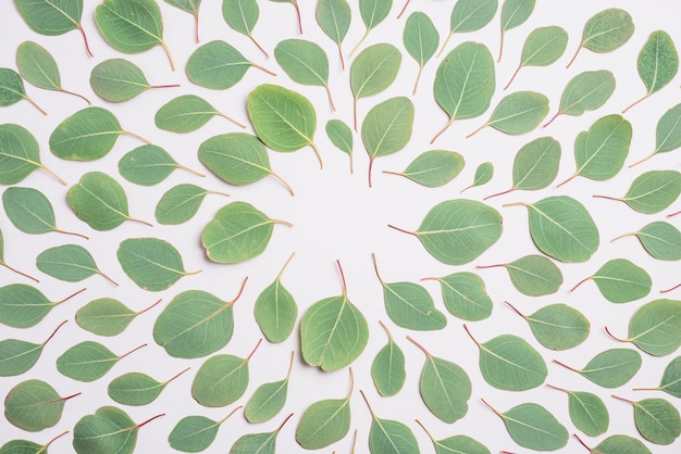 Green leaves pattern