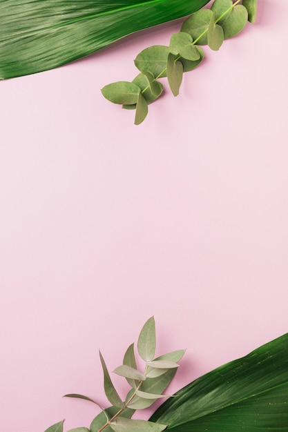 Green leaves over the pink background