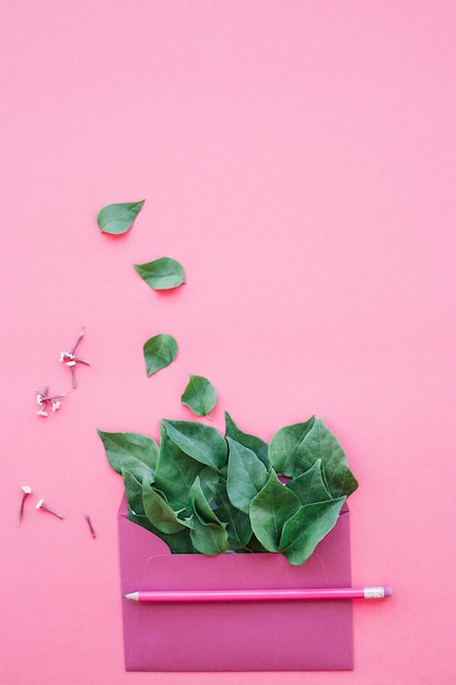 Green leaves in pink envelope