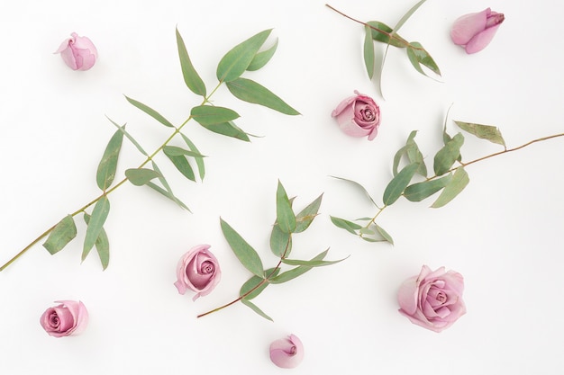 Green leaves and pink flowers on white background