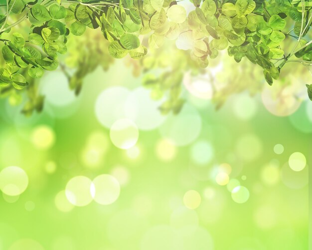 Green leaves on a sunny bokeh lights background