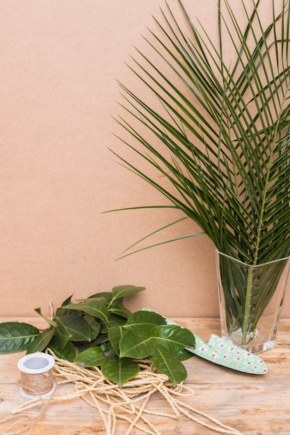 Green leaves on table