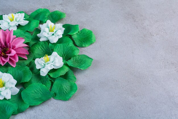 Green leaves with purple and white flowers on gray