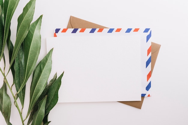 Green leaves with three envelopes on white background