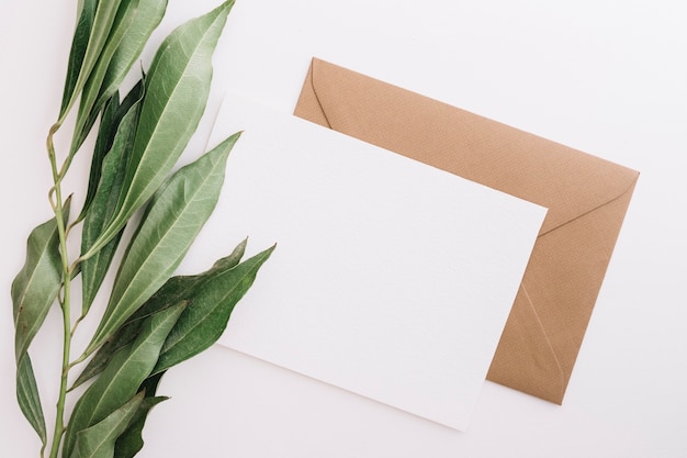 白い背景に2つの白と茶色の封筒と緑の葉