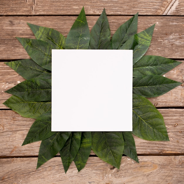 Free photo green leaves on wood background with blank frame