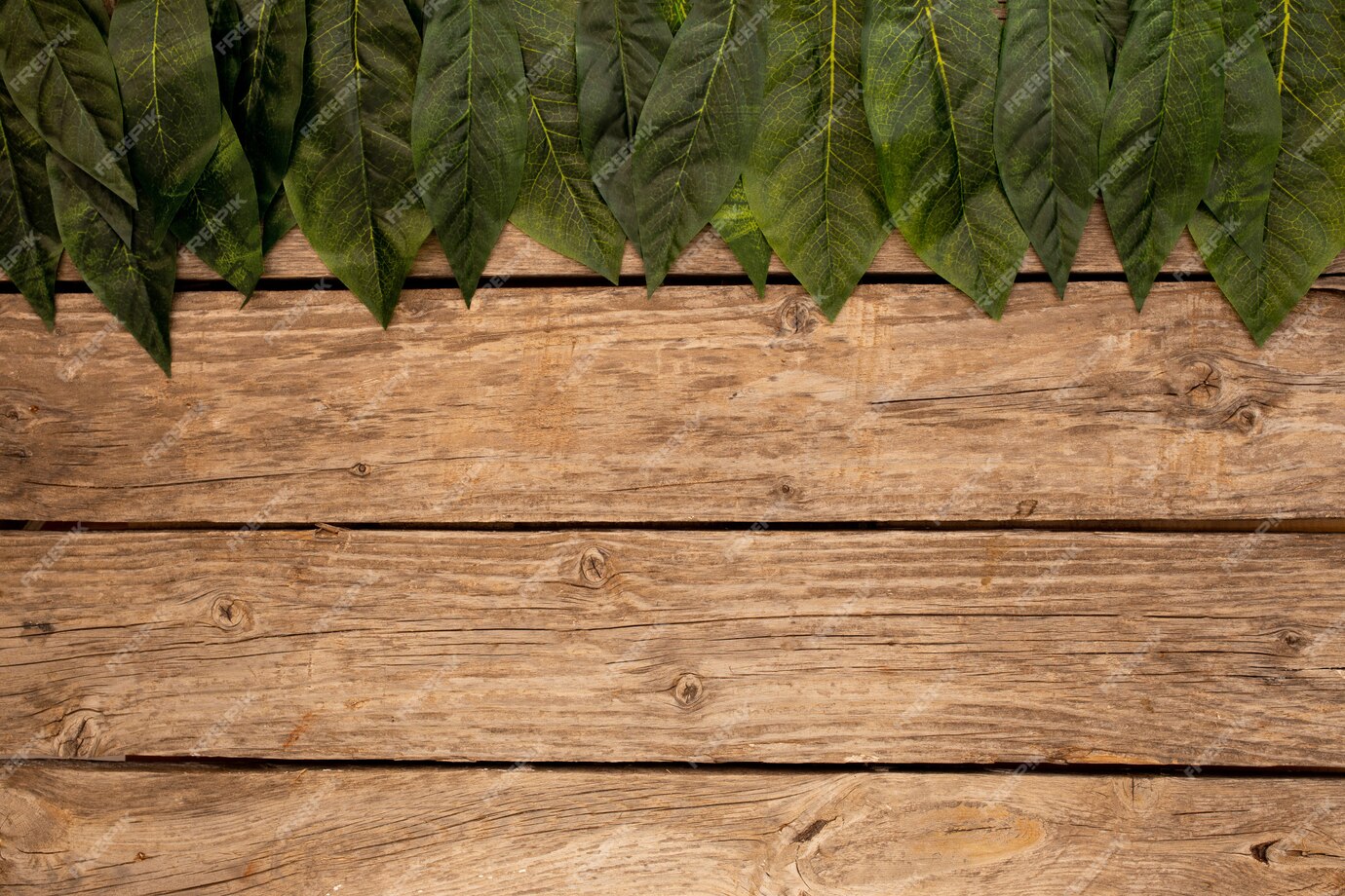 Free Photo | Green leaves a wooden brown background