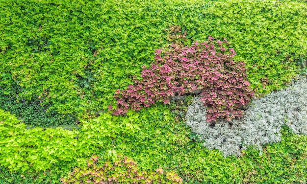 green leaves