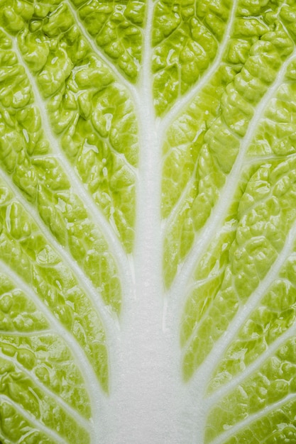 Free photo green lettuce close-up background