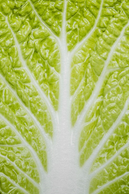 Зеленый салат крупным планом фон