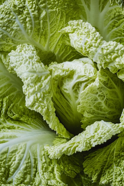 Green lettuce close-up wallpaper