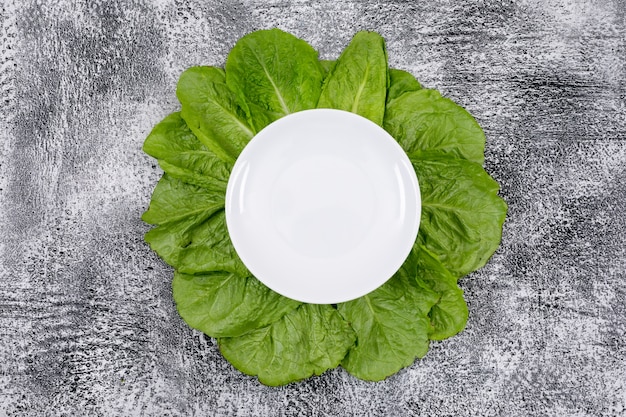 Green lettuce leaves under empty white plate