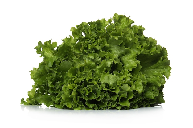 Green lettuce on a white surface