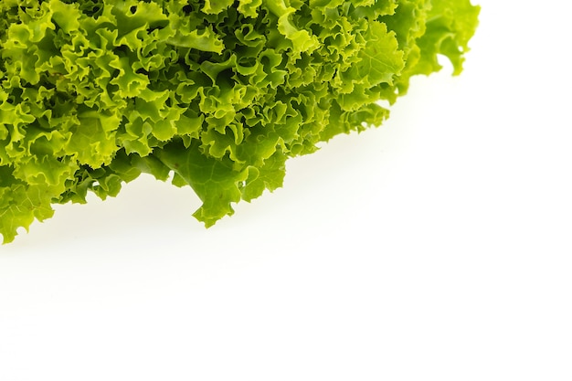 Green lettuce