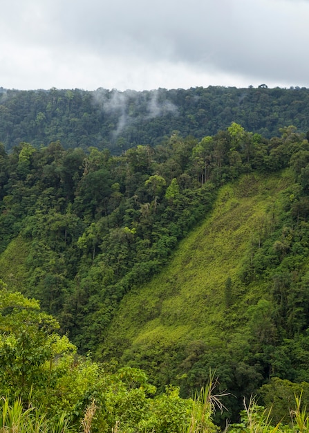 Зеленая пышная долина и горы в Коста-Рике