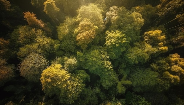 AIによって生成された夏の太陽の下で緑の草原の花が咲きます